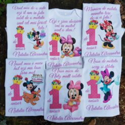 Set aniversar fetiță 1 anișor