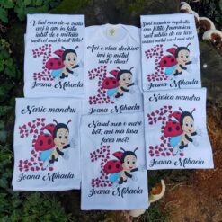 Set aniversar fetiță 1 anișor