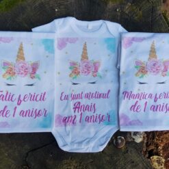 Set aniversar fetiță 1 anișor