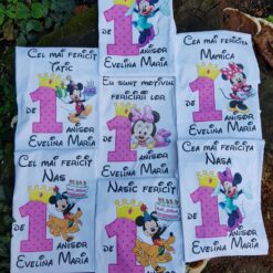 Set aniversar fetiță 1 anișor