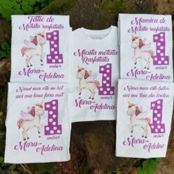 Set aniversar fetiță 1 anișor