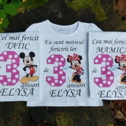 Set aniversar fetiță 3 ani