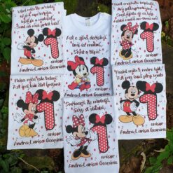 Set aniversar fetiță 1 anișor