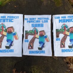 Set aniversar fetiță 7 ani