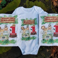 Set aniversar băiețel 1 anișor